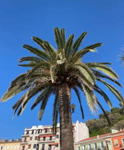 Hotels Le Riviera Collection, Signature Collection by Best Western : photos des chambres