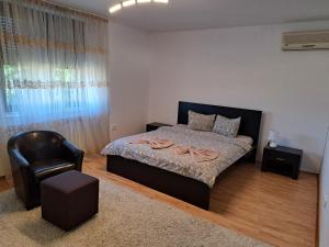 Penthouse Daniela - 3 Rooms in a Spacious Central Apartment