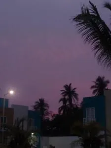 ocupado sin reserva - Copala