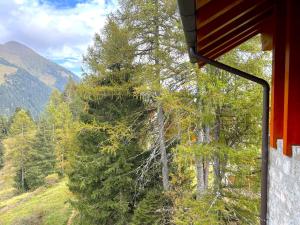 Apartment with Mountain View