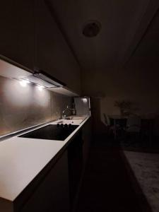 Quiet, Cozy, Luminous Apartment