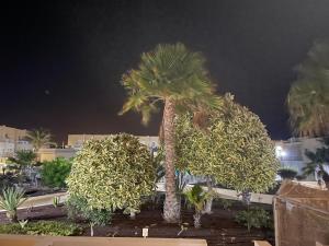 Castillo Holiday Home