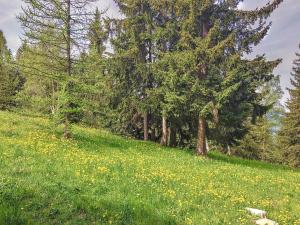 Studio mezzanine proche des pistes avec balcon et Wifi - FR-1-346-510