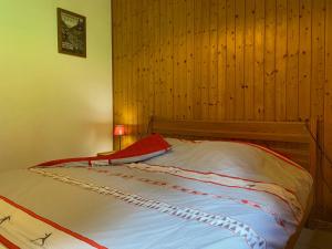 Charmant appartement 2 chambres avec parking à Châtel, à 200m du centre - FR-1-693-35