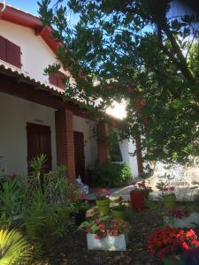 Maison familiale en plein centre du Cap Ferret