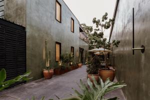 Majagua Hotel Boutique -Adults Only