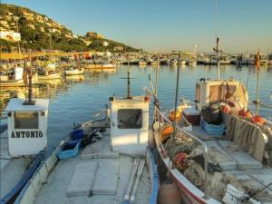 Estudio céntrico renovado con aire acondicionado y balcón, ideal para 4 personas en Roses - ES-258-48