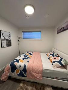 Brand new 1 Bedroom Basement Suite. Wi-Fi,Netflix