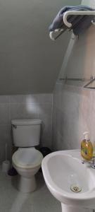 Mini Departamento Iquitos 1245-01