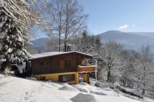 Sud Vosges chalet de vacances Région Gérardmer