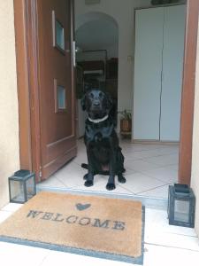 LakeLove Házikó Sopron- Erdő és tópart mellett