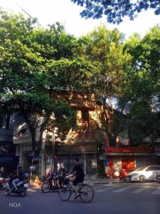 Căn Hộ 1 Phòng Ngủ (One-Bedroom Apartment)