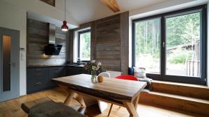 SKOG HARRACHOV duplex apartment - 3hvězdičkové hotely ve městě Harrachov