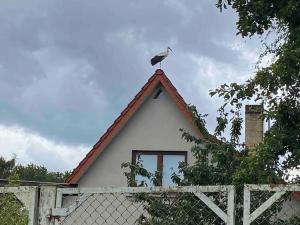 Ferienwohnung Kompass nahe der Ostsee im Grünen