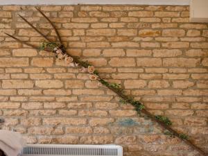 Hare Cottage wonderful views and parking - Pass the Keys