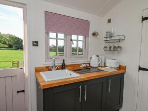 Dragonfly Shepherds Hut