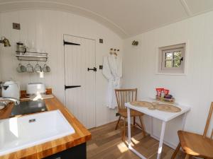 Dragonfly Shepherds Hut