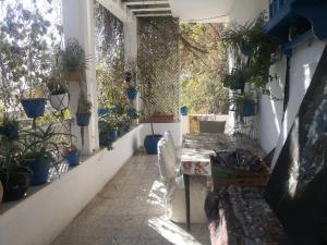Casa Zitouna - Guest House - Kef, Tunisia