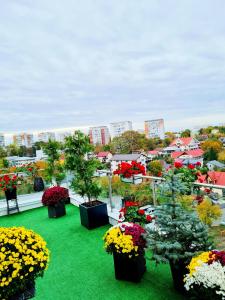 Penthouse Aeroport Iasi