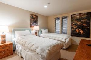 Vail Realty condo