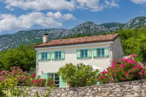Villa Tribalj 
