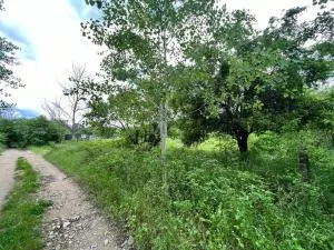 Къмпинг Частен Двор BULGARIAN CAMPSITE for Tents - Šipka