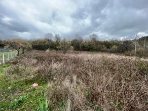 Къмпинг Частен Двор BULGARIAN CAMPSITE for Tents