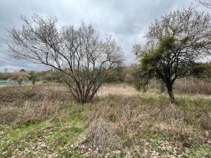 Къмпинг Частен Двор BULGARIAN CAMPSITE for Tents