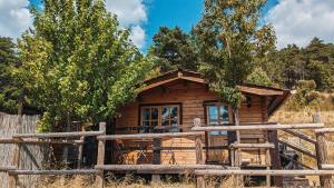 Campings Les cabanes de Bourras : photos des chambres