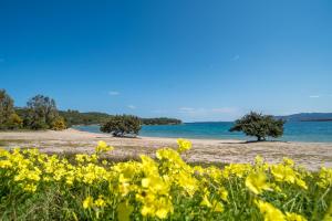 Appartamento Palau Sole img17