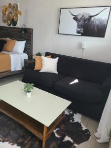 Cozy King Bed Studio - Affordable Fresh Cozy