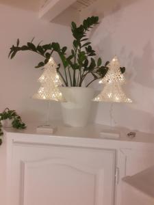 petite maison cosy avec exterieur