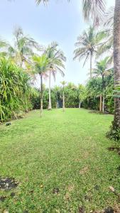 TrevizZo Maresias pé na areia!