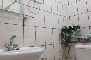 Dolphin View 20 @ LongBeach