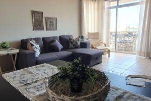 Dolphin View 20 @ LongBeach