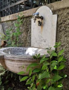 La Casa della Magnolia 5 Terre-CITRA 011015LT2760