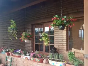 Casa Moonbeam - 马斯科塔