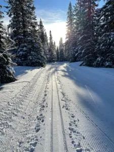 Åreskutans lägenhet med laddning för bil 22kW - Kall