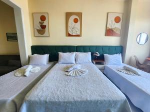 Vista Maravilhosa do Rio TC603