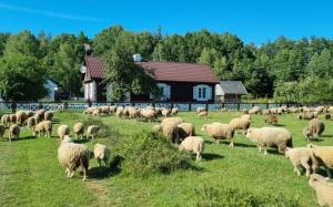 Podlaski Zakątek