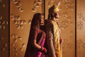 Park Plaza Chandigarh Zirakpur