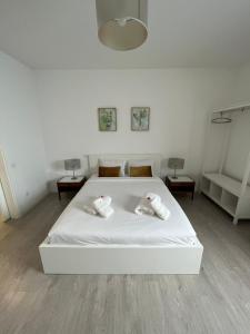 Charming Funchal Studio