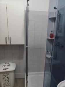 Apartments by the sea Bakarac, Kraljevica - 21709 