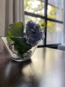 DG Apartment - Le Relais du Lac, proche Disneyland Paris