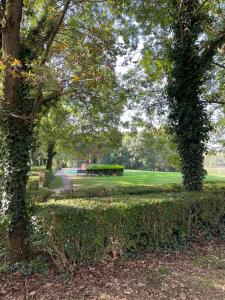 Appartements DG Apartment - Le Relais du Lac, proche Disneyland Paris : photos des chambres