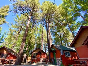 The Village Cabins