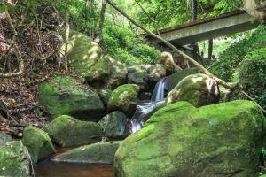 The Yurt at Lothlorien