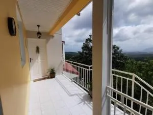 Nid d'Aigle Tropical - Guinée-Fleury