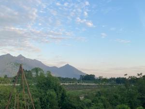 Vườn Vua Resort & Sun Villas Khu Thanh Liên