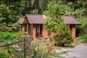 Mangi's Tranquil Bungalows - 凯格勒